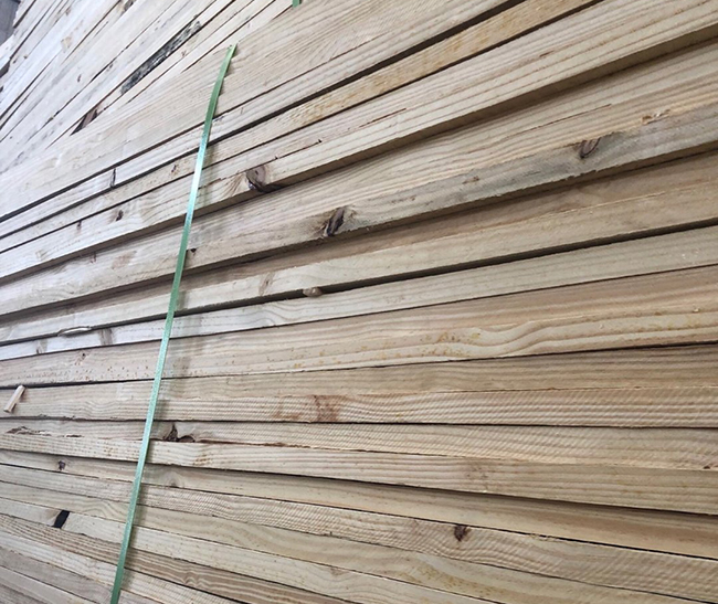 沙雅巴西松